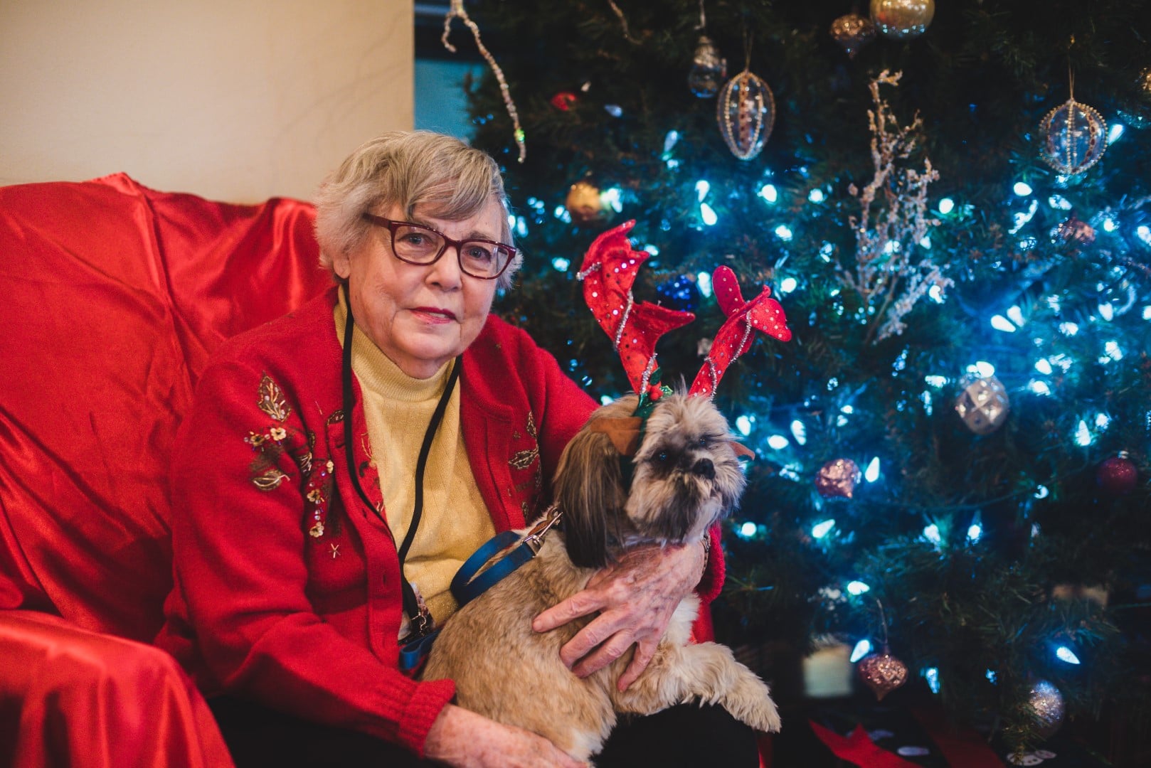 Pet Friendly City Center Village