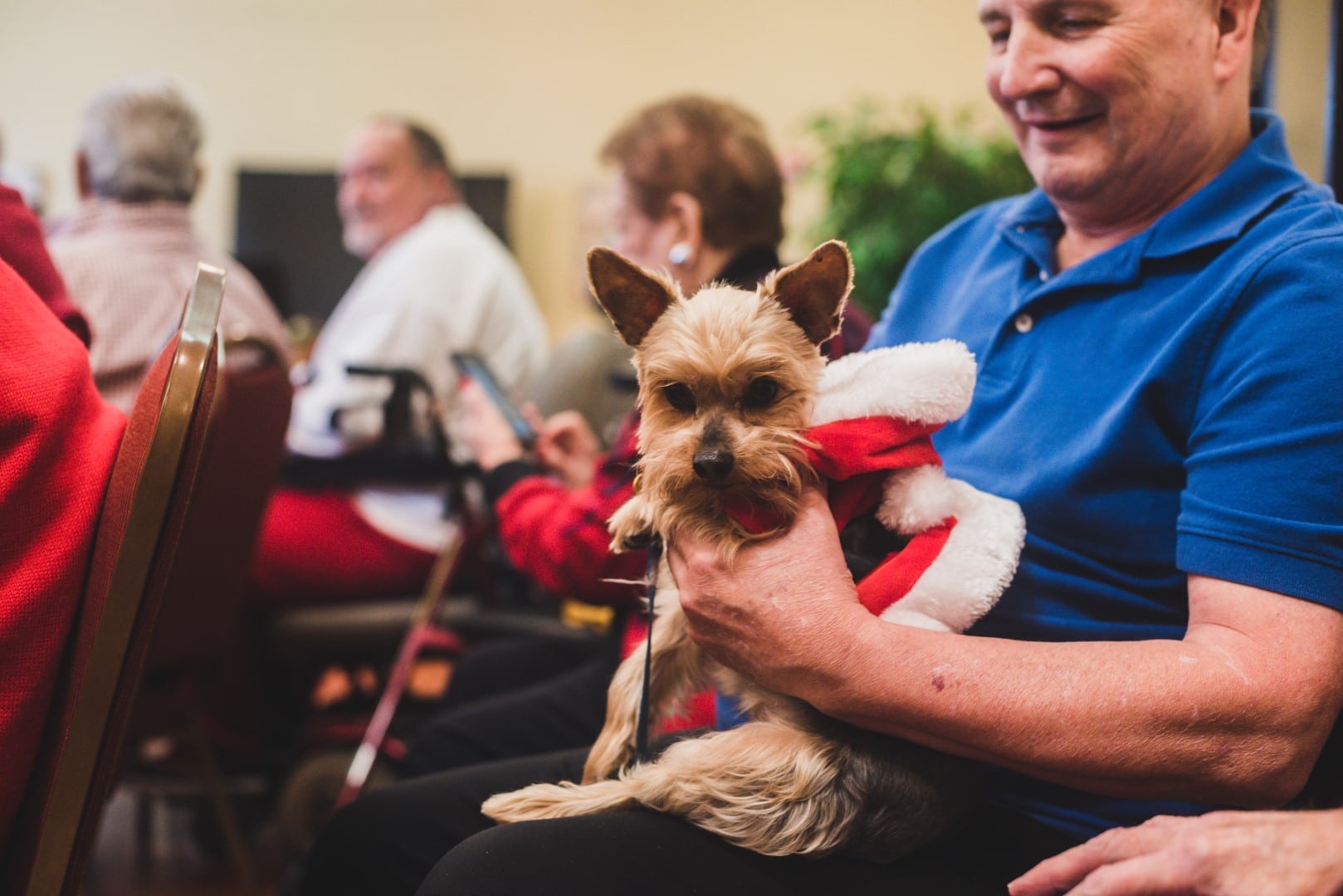 Pet Friendly City Center Village